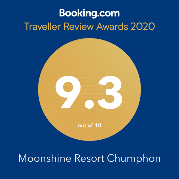 Traveller Review Awards 2020 From Booking.com